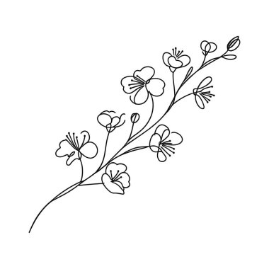 Sakura çiçeği aralıksız çizgi vektör çizimi
