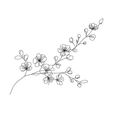 Sakura çiçeği aralıksız çizgi vektör çizimi