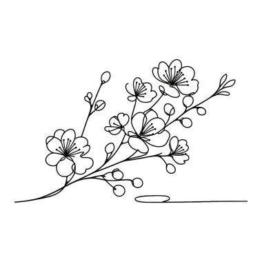 Sakura çiçeği aralıksız çizgi vektör çizimi