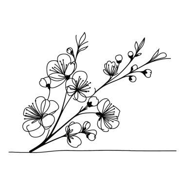 Sakura çiçeği aralıksız çizgi vektör çizimi