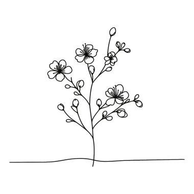 Sakura çiçeği aralıksız çizgi vektör çizimi