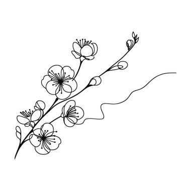 Sakura çiçeği aralıksız çizgi vektör çizimi