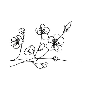 Sakura çiçeği aralıksız çizgi vektör çizimi