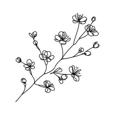 Sakura çiçeği aralıksız çizgi vektör çizimi