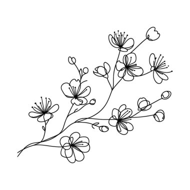 Sakura çiçeği aralıksız çizgi vektör çizimi