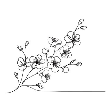 Sakura çiçeği aralıksız çizgi vektör çizimi