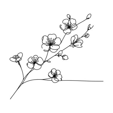 Sakura çiçeği aralıksız çizgi vektör çizimi