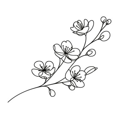 Sakura çiçeği aralıksız çizgi vektör çizimi