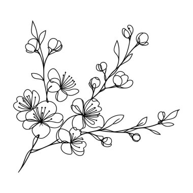 Sakura çiçeği aralıksız çizgi vektör çizimi