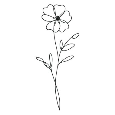 Devamlı yaban çiçeği illüstrasyonu