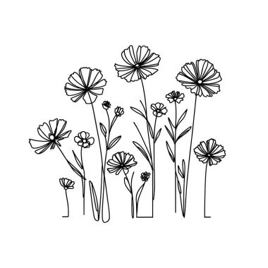 Devamlı yaban çiçeği illüstrasyonu
