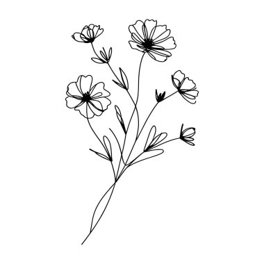 Devamlı yaban çiçeği illüstrasyonu