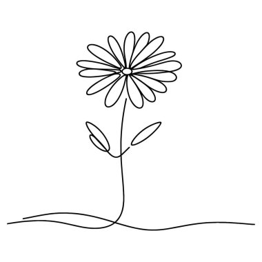 Devamlı yaban çiçeği illüstrasyonu