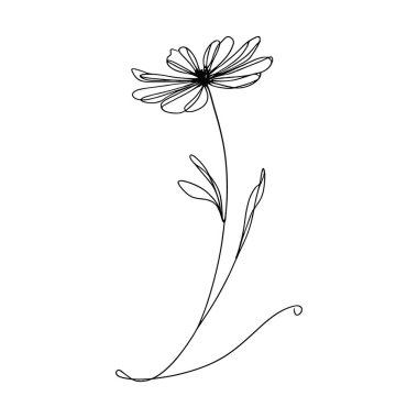 Continous line wildflower illustration clipart