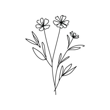 Devamlı yaban çiçeği illüstrasyonu
