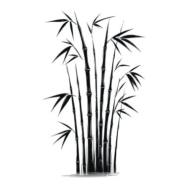 Bambu vektör çizimi. El çizimi Resim