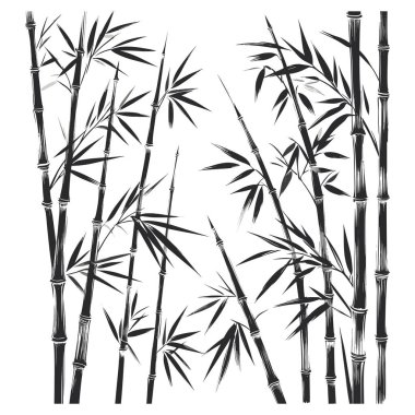 Bambu vektör çizimi. El çizimi Resim