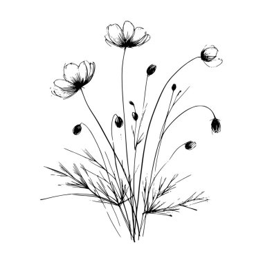 Yaban çiçekleri vektör eli çizimi