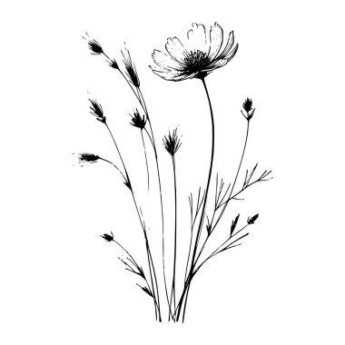 Yaban çiçekleri vektör eli çizimi