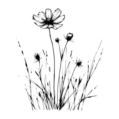 Wildflowers vector hand drawn Illustration clipart