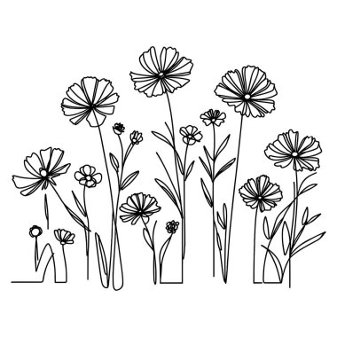 Devamlı yaban çiçeği illüstrasyonu