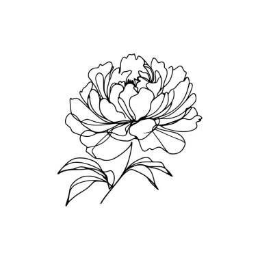 Şakayık çiçekli karalama çizimi