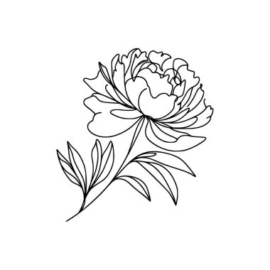 Şakayık çiçekli karalama çizimi