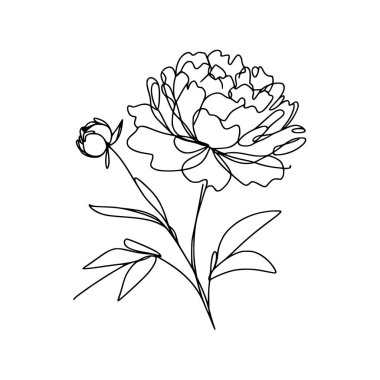 Şakayık çiçekli karalama çizimi