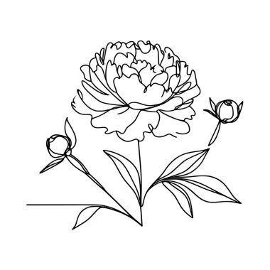 Şakayık çiçekli karalama çizimi