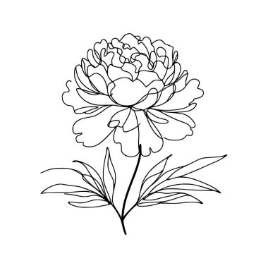 Şakayık çiçekli karalama çizimi