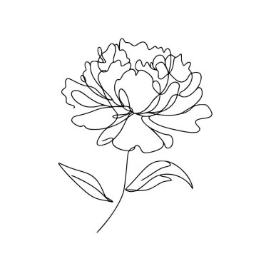 Şakayık çiçekli karalama çizimi