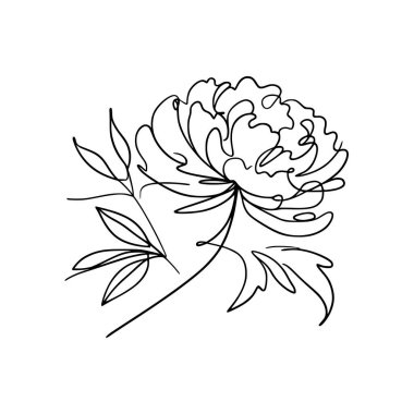 Şakayık çiçekli karalama çizimi