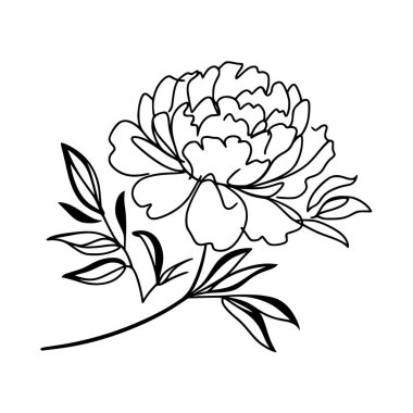 Şakayık çiçekli karalama çizimi