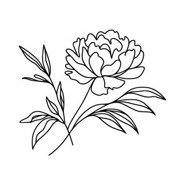 Şakayık çiçekli karalama çizimi