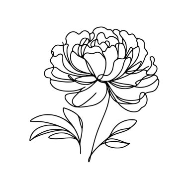 Şakayık çiçekli karalama çizimi