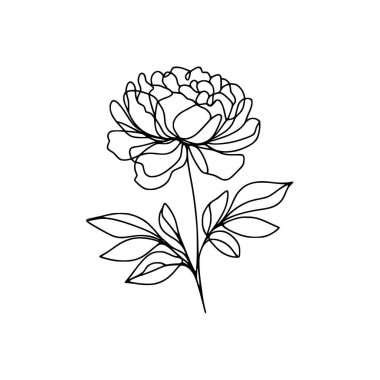 Şakayık çiçekli karalama çizimi