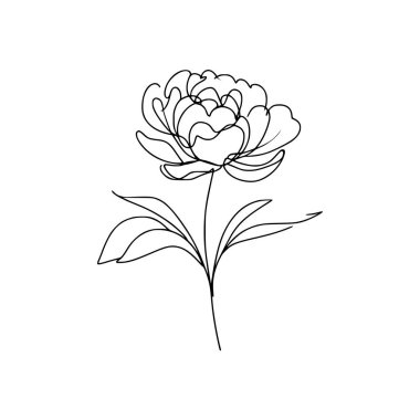 Şakayık çiçekli karalama çizimi