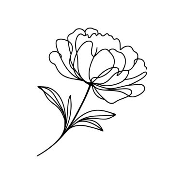 Şakayık çiçekli karalama çizimi