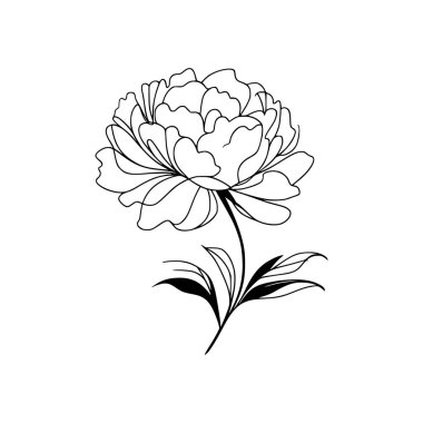 Şakayık çiçekli karalama çizimi