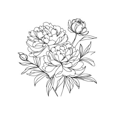 Şakayık çiçekli karalama çizimi