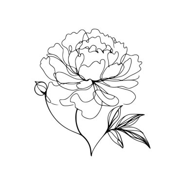 Şakayık çiçekli karalama çizimi