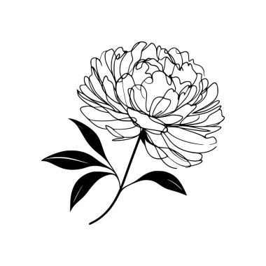 Şakayık çiçekli karalama çizimi