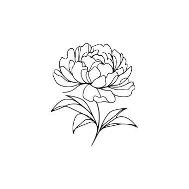 Şakayık çiçekli karalama çizimi