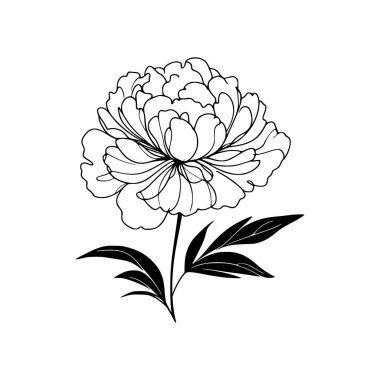 Şakayık çiçekli karalama çizimi