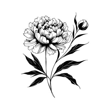 Şakayık çiçekli karalama çizimi