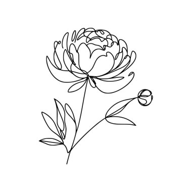 Şakayık çiçekli karalama çizimi