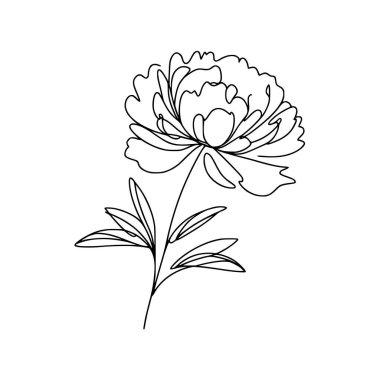 Şakayık çiçekli karalama çizimi