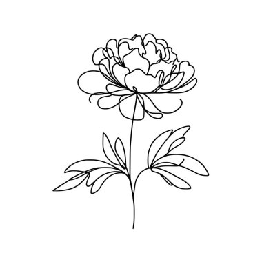 Şakayık çiçekli karalama çizimi