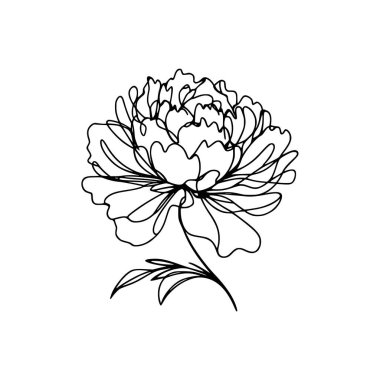 Şakayık çiçekli karalama çizimi