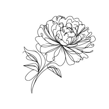 Şakayık çiçekli karalama çizimi